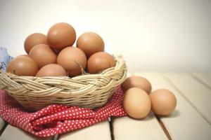 A tojástartó tiltott terület! – Húsvéti tojásakadémia kezdőknek és haladóknak