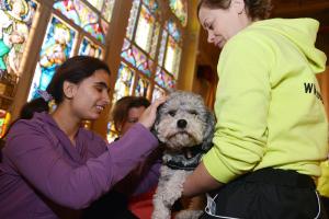Látássérült gyerekeknek szóló hangoskönyet mutattak be