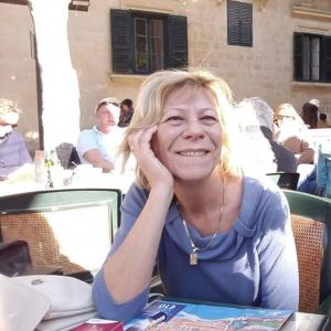 Kontyfából a múzeumokba és fordítva