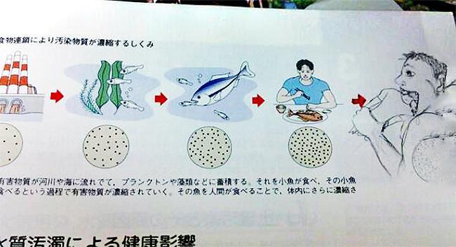 16 tankönyv remekmű, amit unatkozó diákok rajzoltak