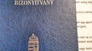 „Nem az a tehetséges, akinek mindenből ötöse van”