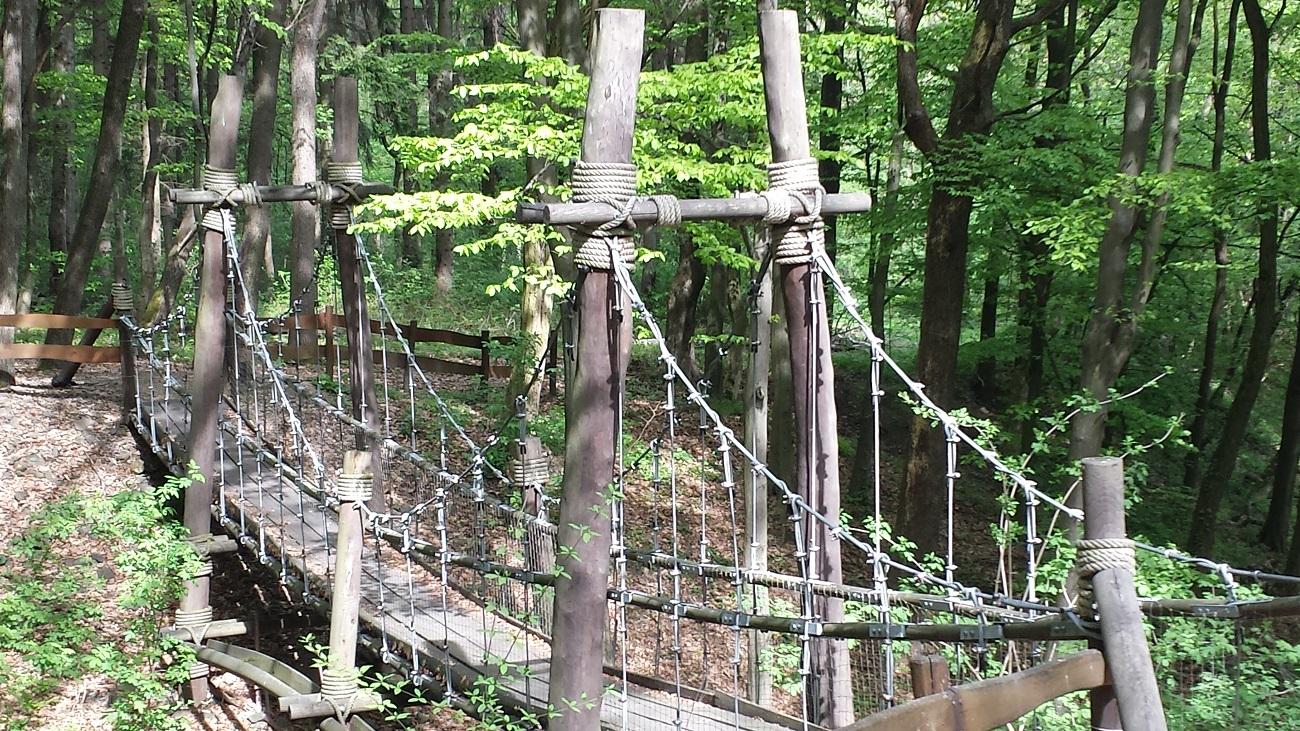 Diósjenői Erdei Szabadidőpark (Börzsöny)