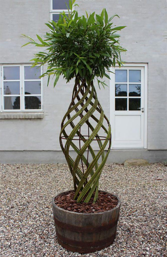 A szomszéd összegyűjtötte a felesleges fűzfavesszőket és csodás dolgokat készített belőle