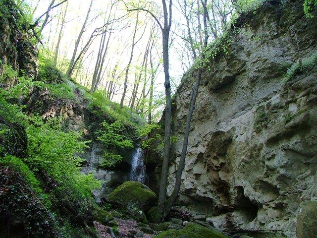 Diósjenői Erdei Szabadidőpark (Börzsöny)
