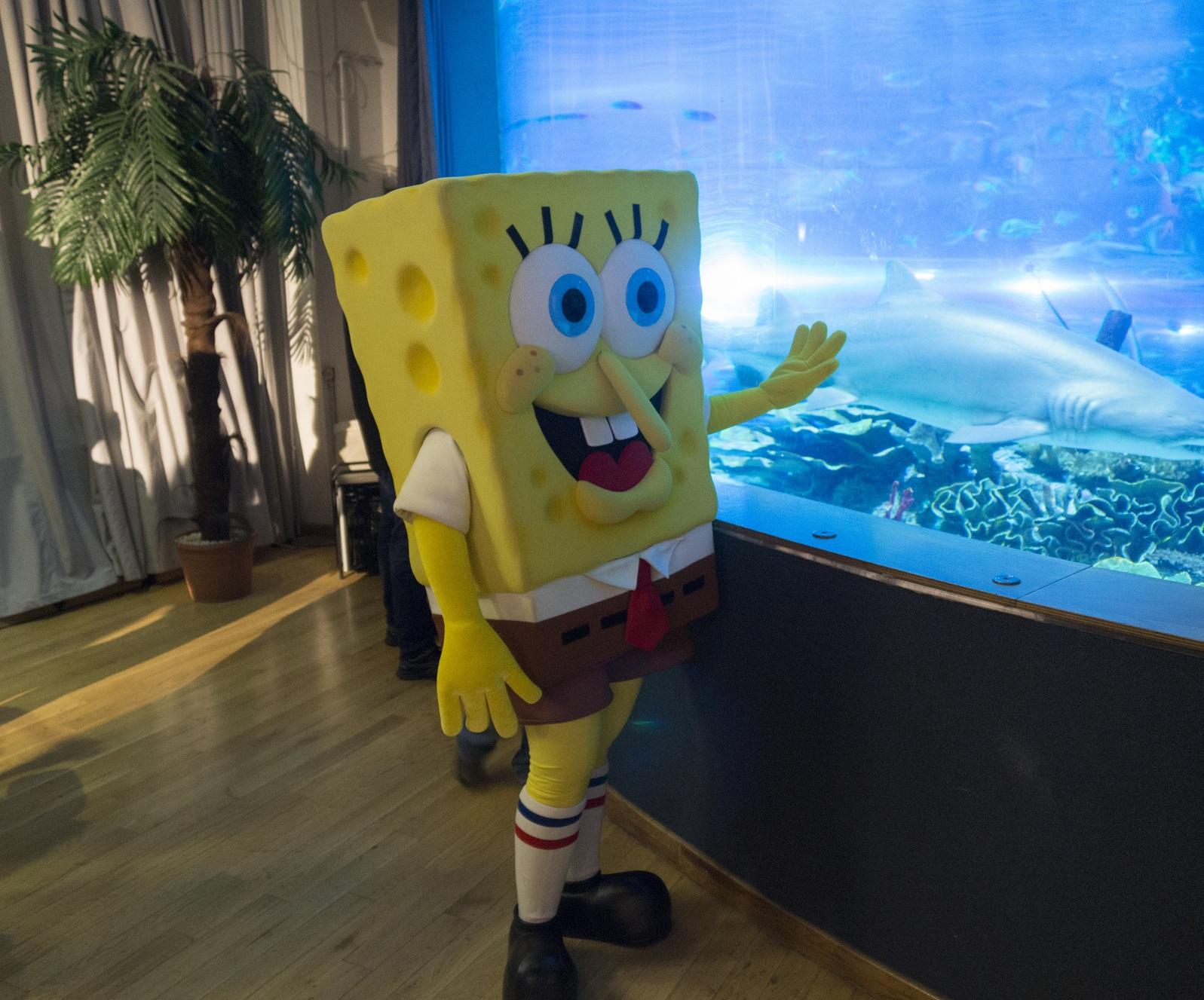 A világ leghíresebb tengeri szivacsa is megünnepli az állatok világnapját