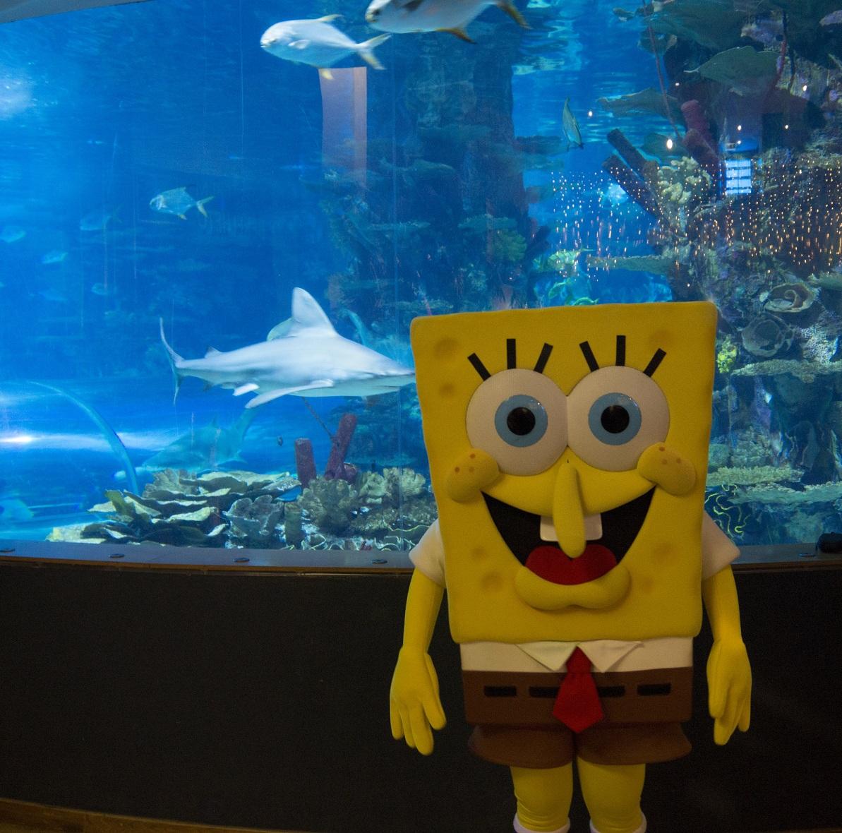 A világ leghíresebb tengeri szivacsa is megünnepli az állatok világnapját