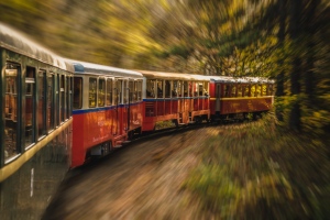 23 kisvasút országszerte: Bámulatos erdei kirándulóhelyekre kalauzolnak el bennünket