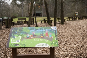 Bakancslistás gyerekparadicsom Budapesthez közel: Gödöllői Arbo-park 