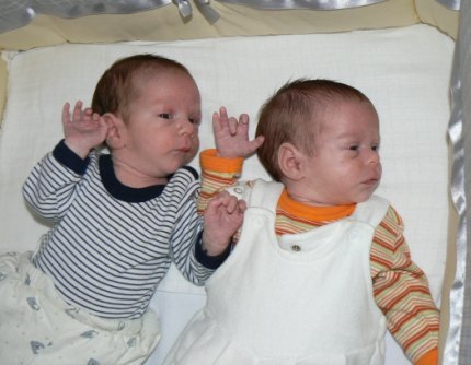 A következő kép nem jeleníthető meg, mert hibákat tartalmaz: „https://www.koloknet.hu/files/240_ikrek_cikkbe.jpg”.